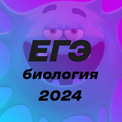 Реальный вариант егэ химия 2024 год